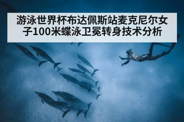 游泳世界杯布达佩斯站麦克尼尔女子100米蝶泳卫冕转身技术分析