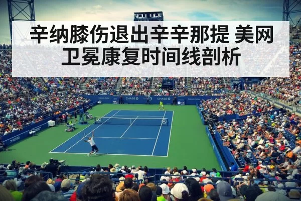 US Open tennis court