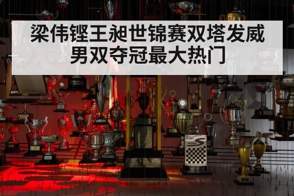 梁伟铿王昶世锦赛双塔发威 男双夺冠最大热门