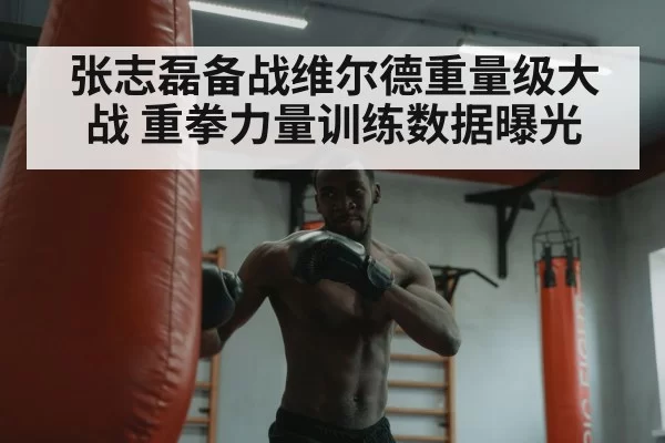 张志磊备战维尔德重量级大战 重拳力量训练数据曝光